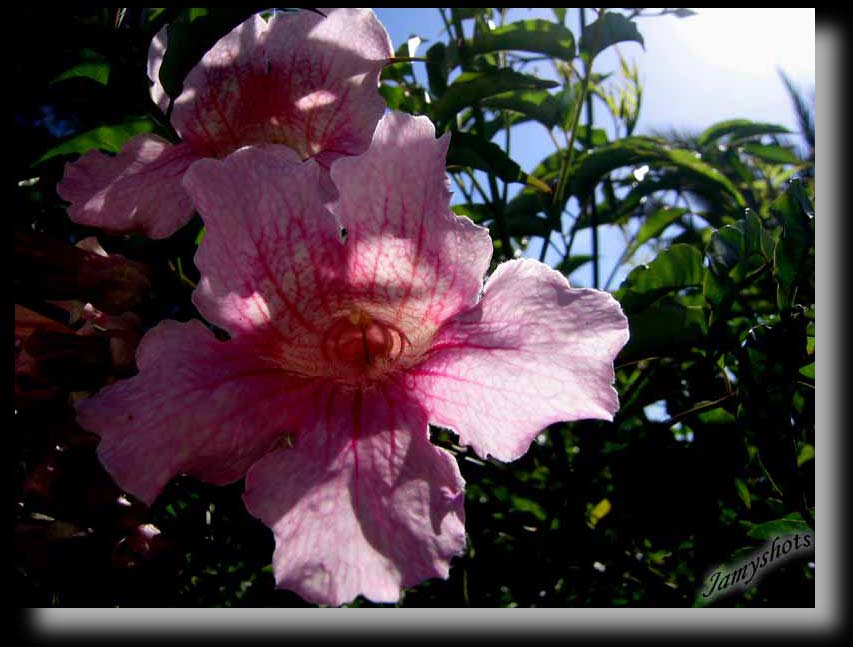 Dans les escaliers de la Kasbah