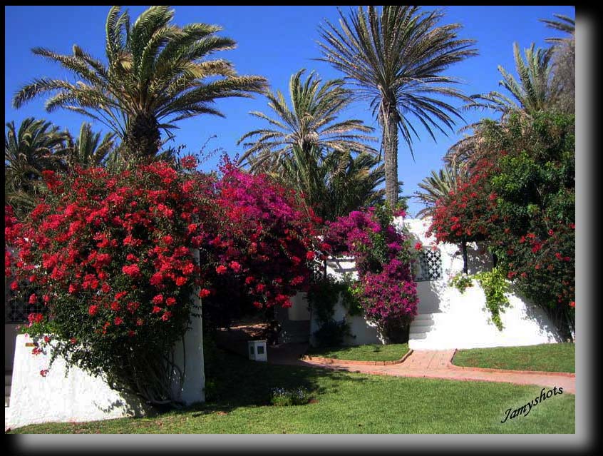 Le Parc de la Kasbah