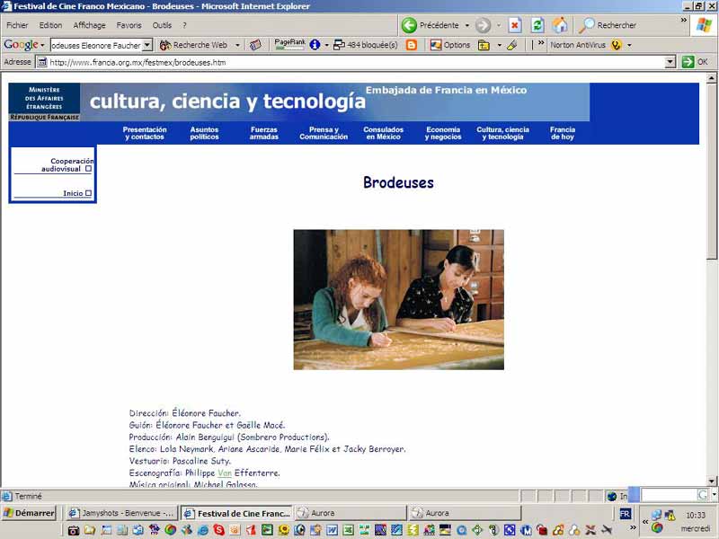 Page Web de France - Mexico