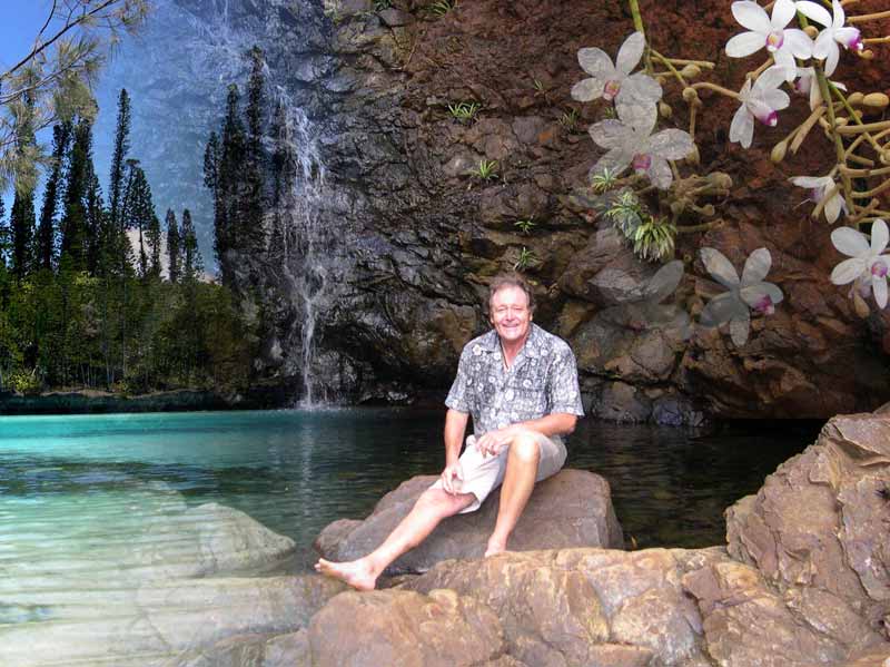 Cliquez ici pour tlcharger le diaporama de la flore de Nouvelle-Caldonie