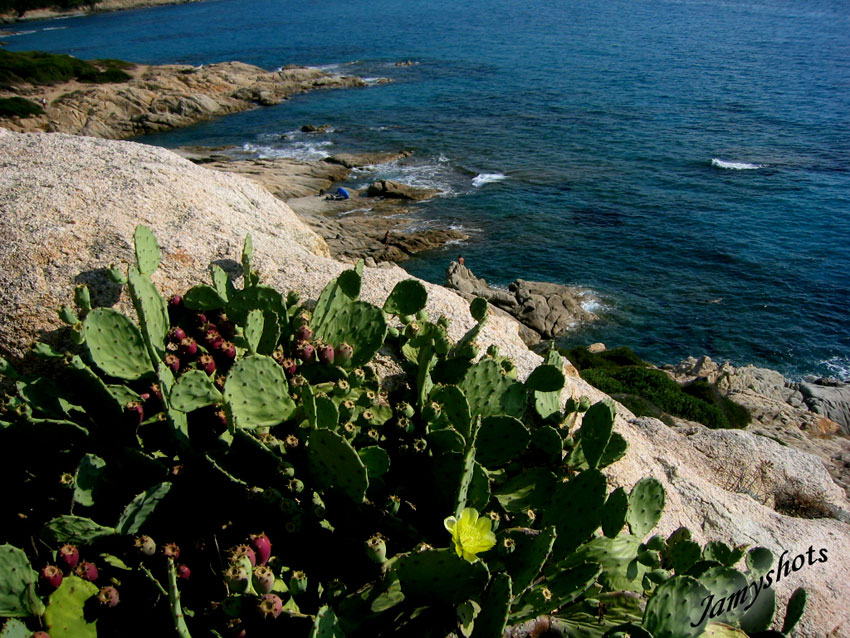 Plage prive de l'Escalet. Domaine Riera,Jeannot,Dupr,Delpias.