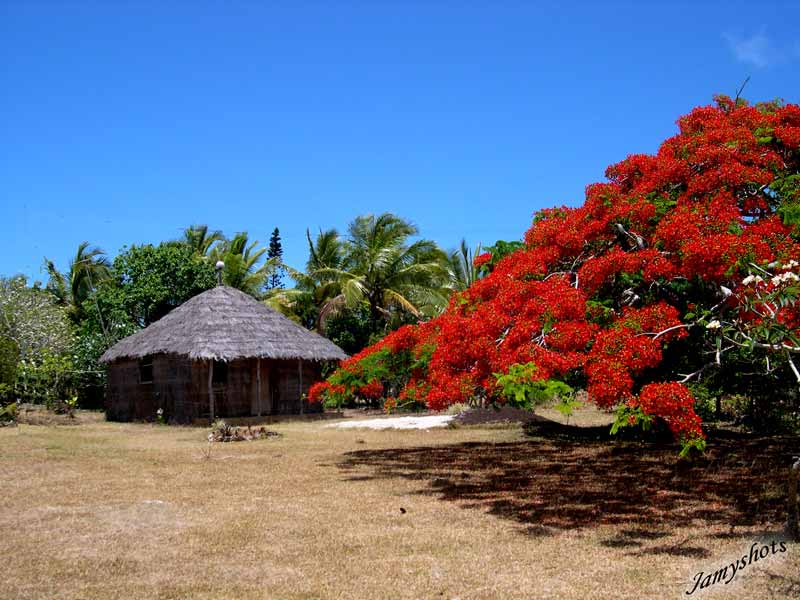 Case traditionnelle de la rgion de Vao