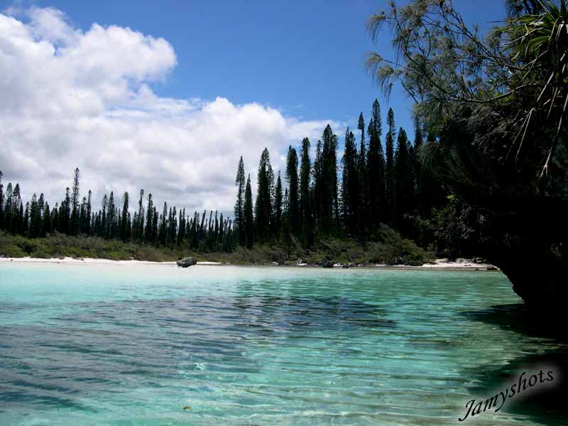 La clbre piscine de l'ile des Pins