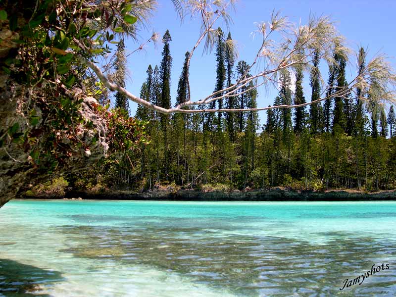 La clbre piscine de l'ile des Pins