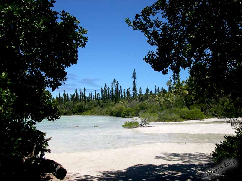 La piscine. Vue de chez Rgis