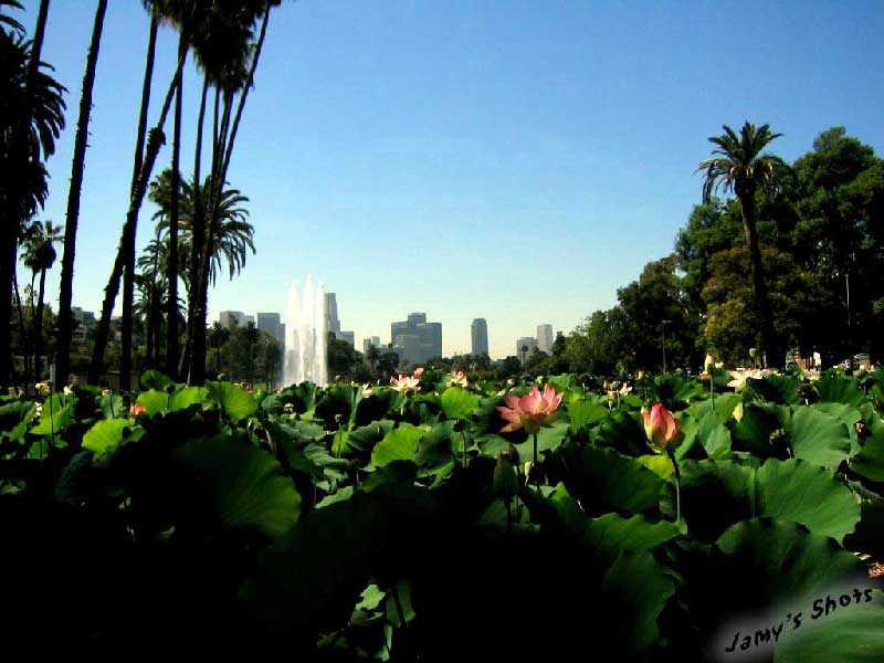 Le centre d'affaire de Los Angeles. Vue d'Echo Park