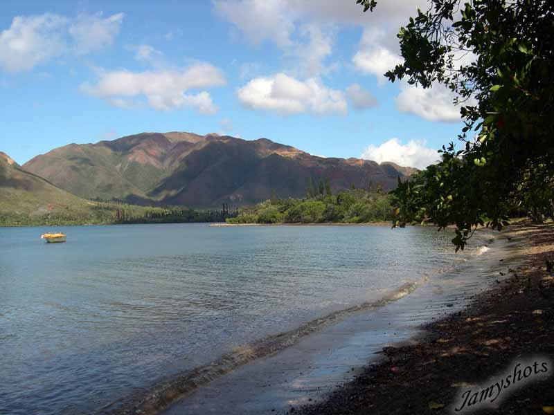 le bord du lagon  Plum