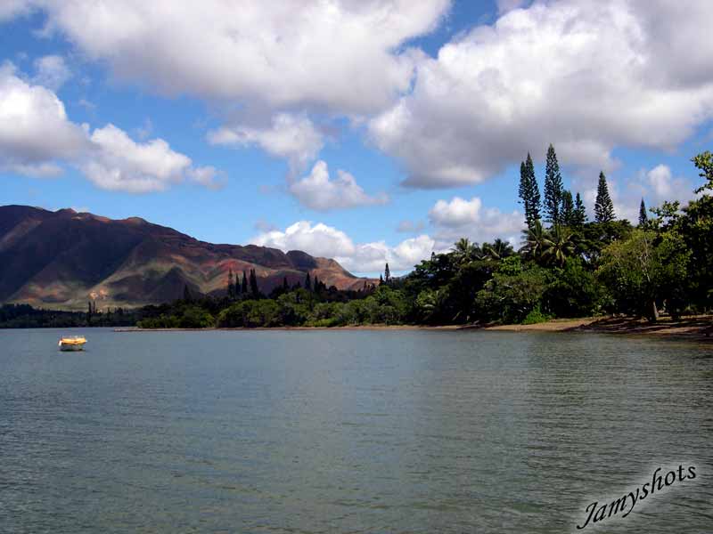 le bord du lagon  Plum