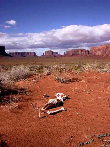 Les grands espaces de Monument Valley