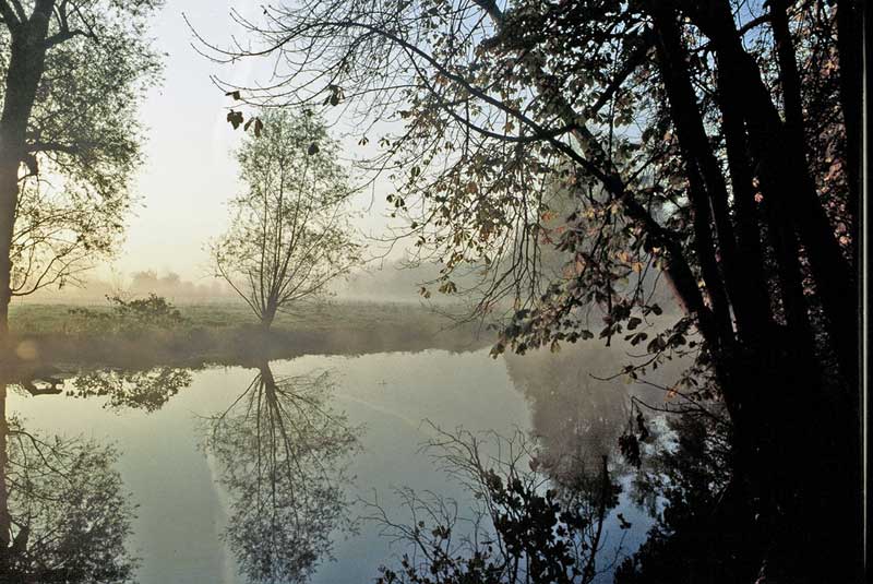 Tableau de Corot? Non Photo Daniel Maire