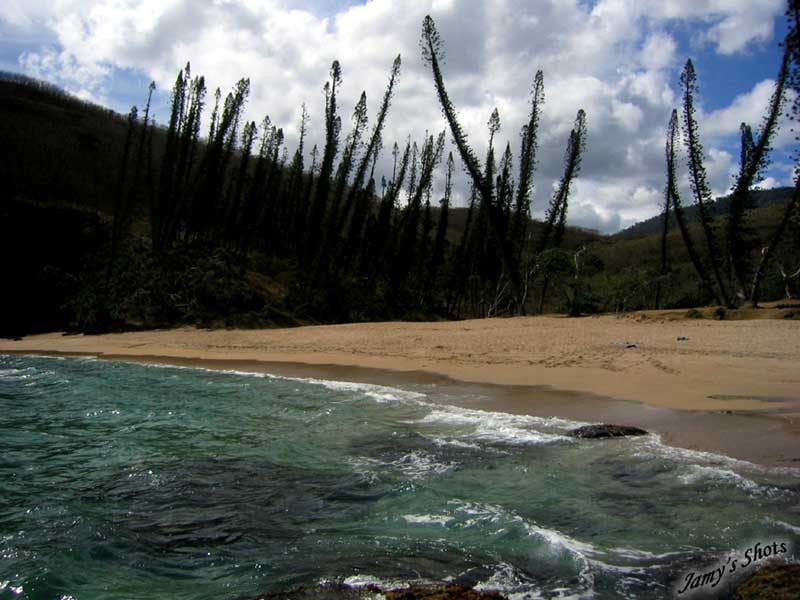 Plage de la baie des tortues.