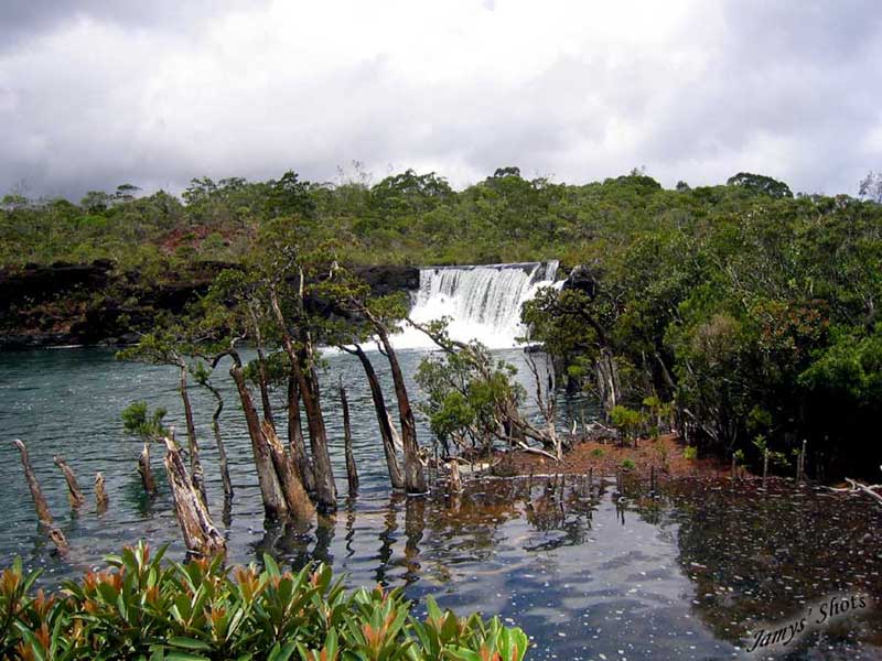 La chute de la madeleine rendue clbre par le film de la BBC " Sur la terre des dinosaures".