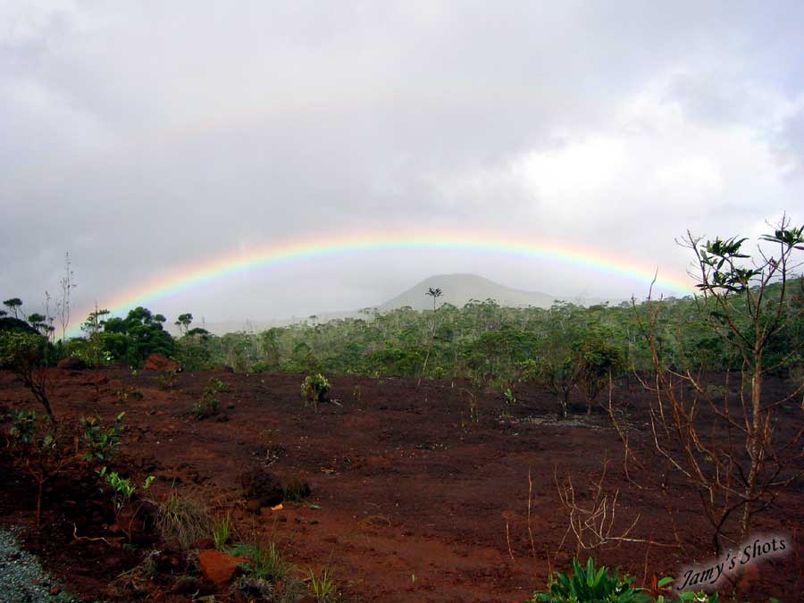 Paysage primaire du Grand Sud Caldonien.
