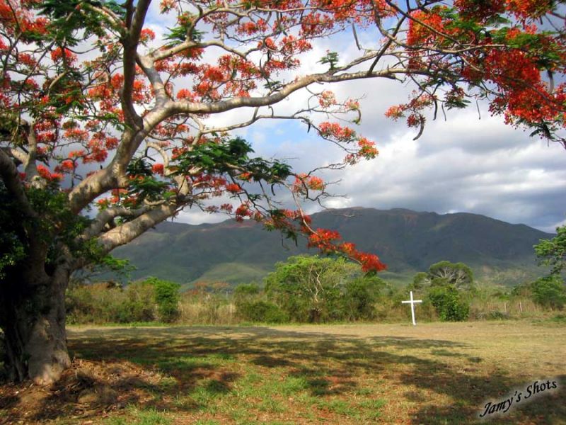 Paysage de Nol  Tomo