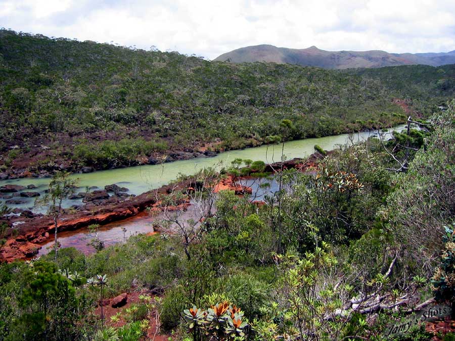  La rivire Pernod dans le grand Sud Caldonien