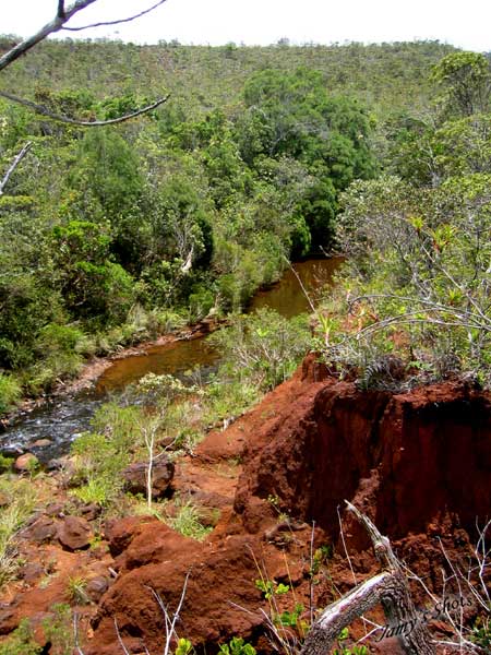 Riviere du Grand Sud