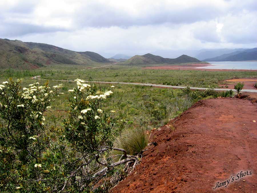 Paysage du Sud. Route de Yat.