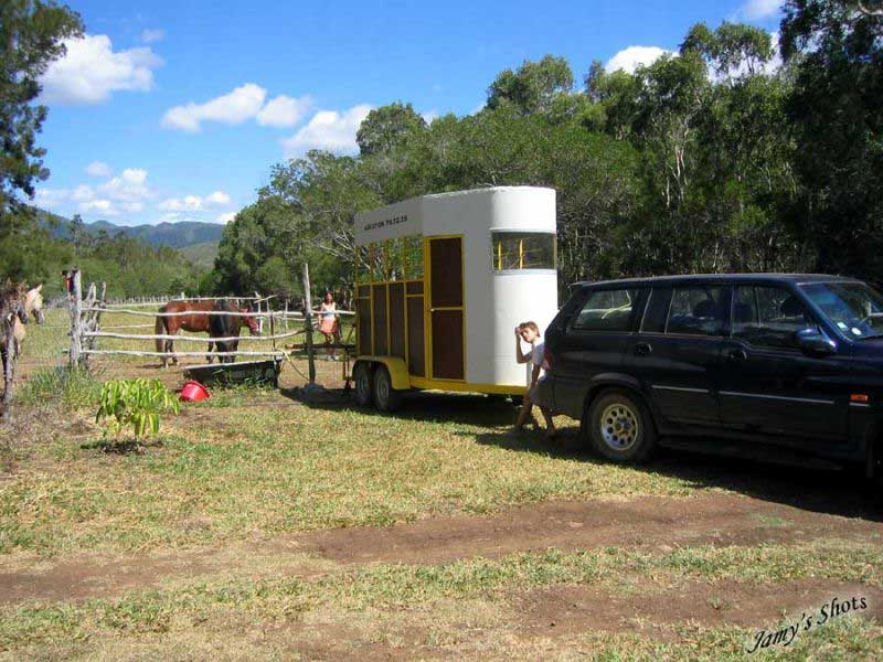 Dpart des chevaux pour le dressage