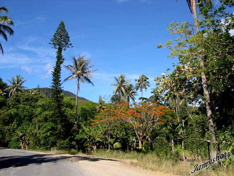 Route entre Po et Bourail