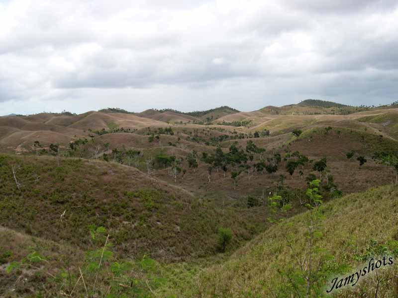Paysage du nord savane  Niaouli.
