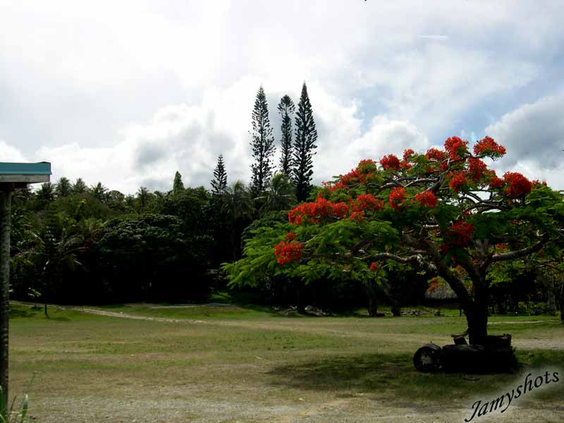 Paysage de la cte Est