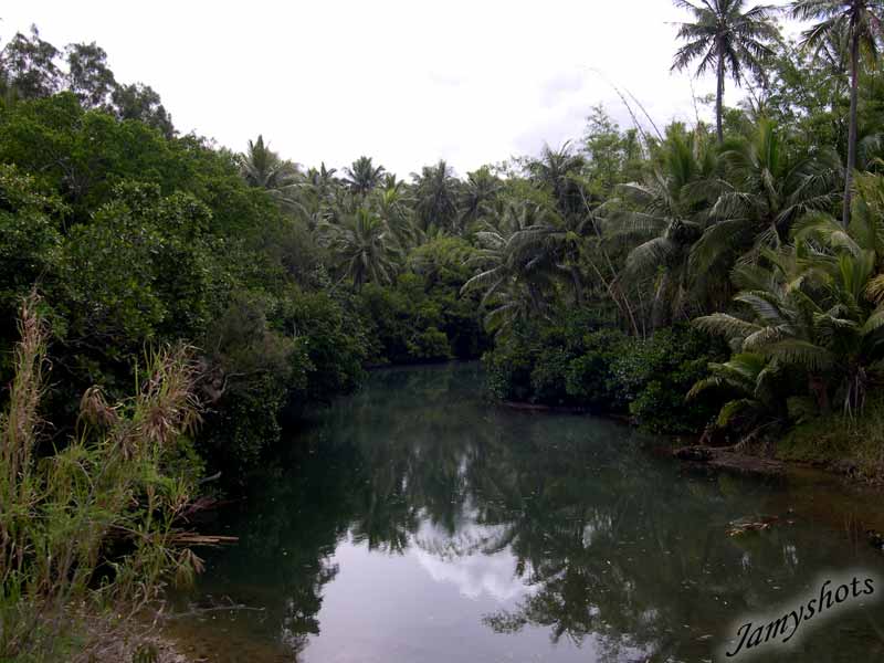 Paysage de la cte Est