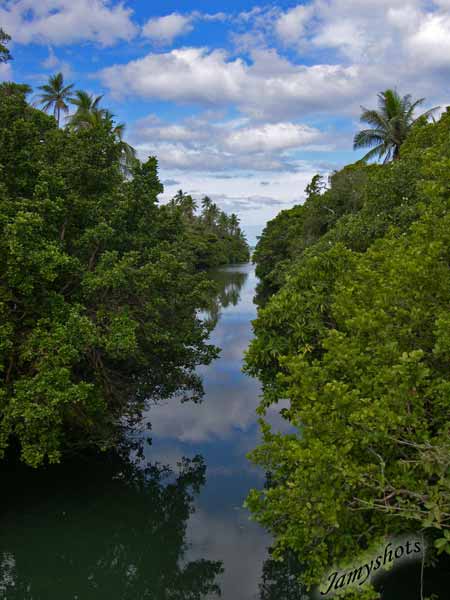 Paysage de la cte Est