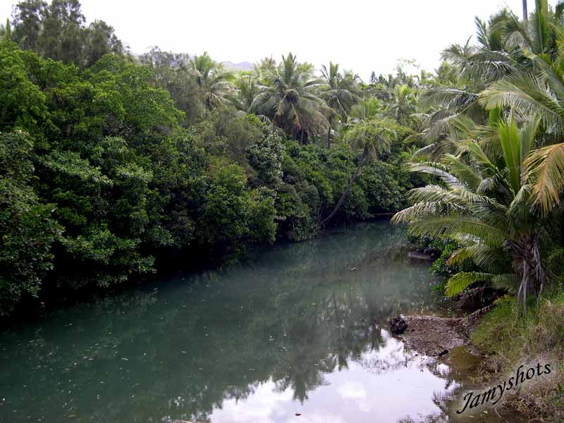 Paysage de la cte Est