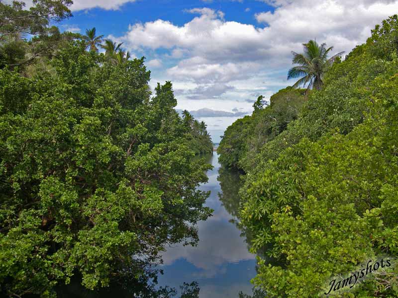 Paysage de la cte Est