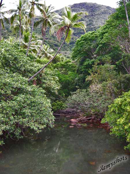 Paysage de la cte Est