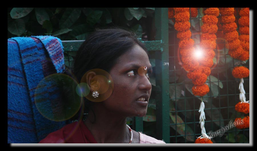 Lumières magiques de Bodhgaya