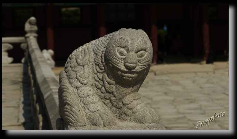 Chat, gardien du Palais