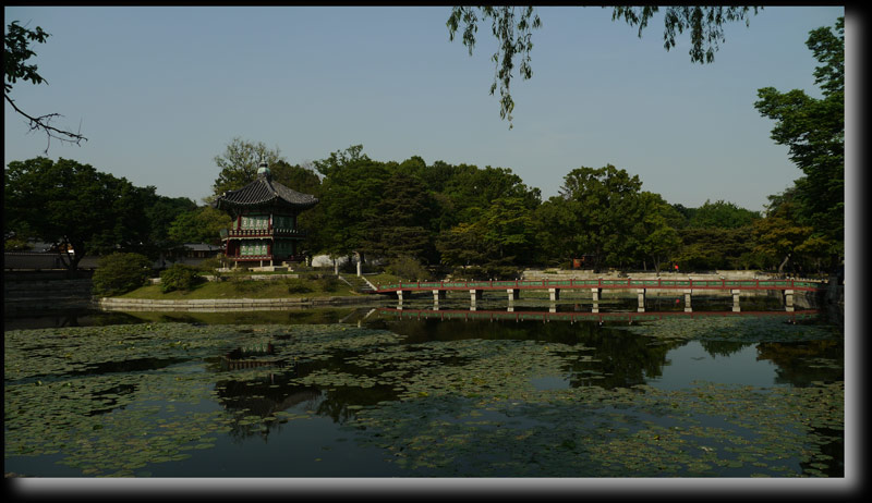 Hyang Won Jeong pond